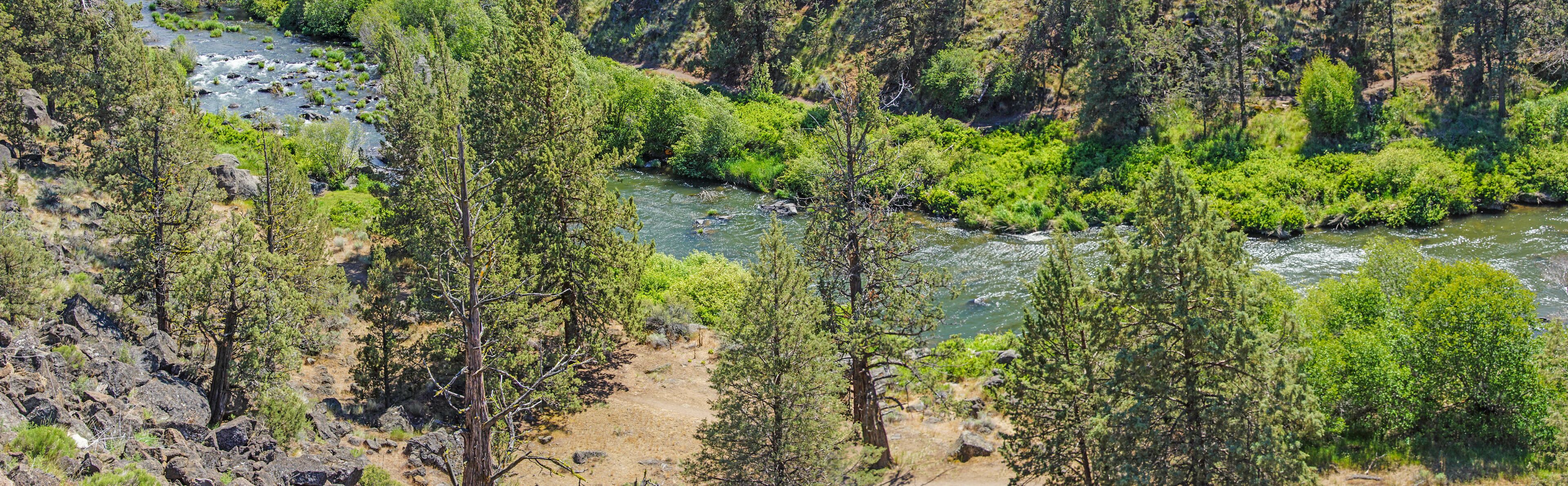 เซาเทิร์น ครอสซิ่ง