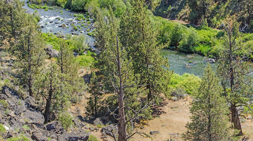 ساذرن كروسينج