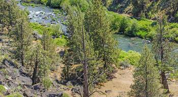 เซาเทิร์น ครอสซิ่ง