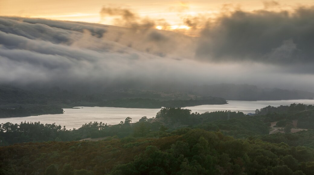 เบอร์ลิงเกม ฮิลล์ส