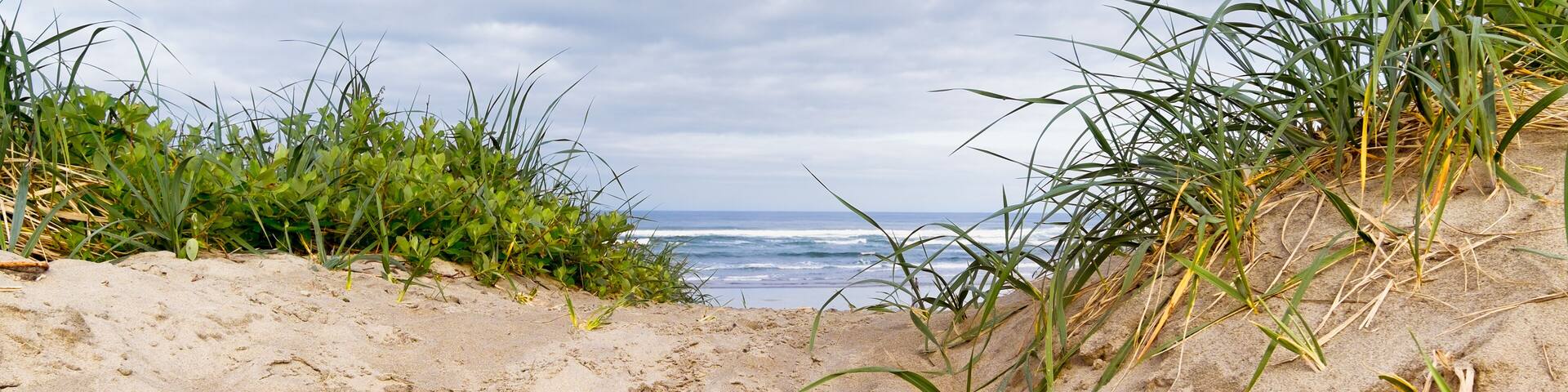 A sandy beach with green vegetation and the ocean in the background.