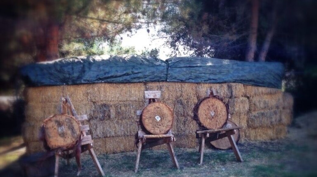 Knife and Tomahawk range at Escondido Fish and Game Association. It ain't easy! But the guys that volunteer here are always willing to give tips to anyone with interest and that practices good safety skills.