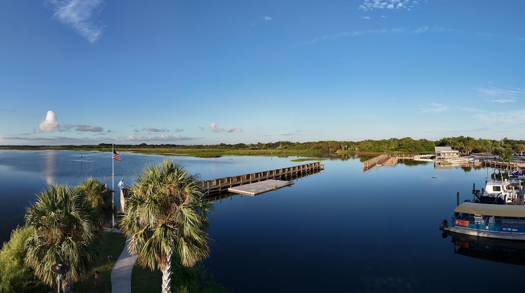 Aerial panoramic photo taken with a drone over a marina at a public lakefront park in Kissimmee, Florida