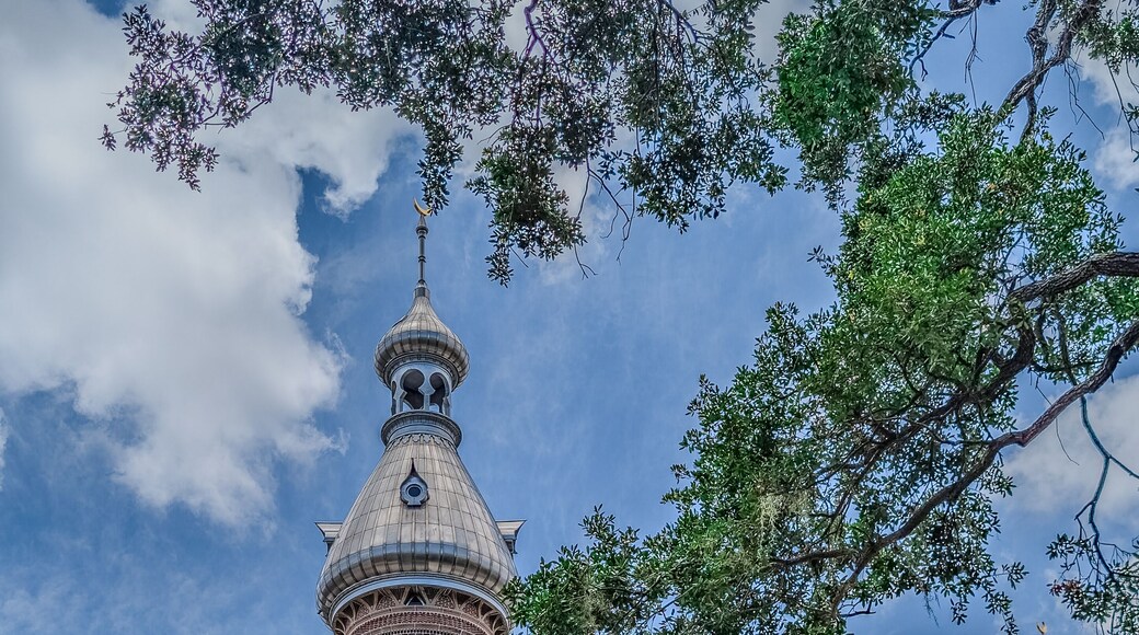 Tampa Bay, Florida. June 11, 2025 Partial view of Henry B. Plant Museum in downtown area