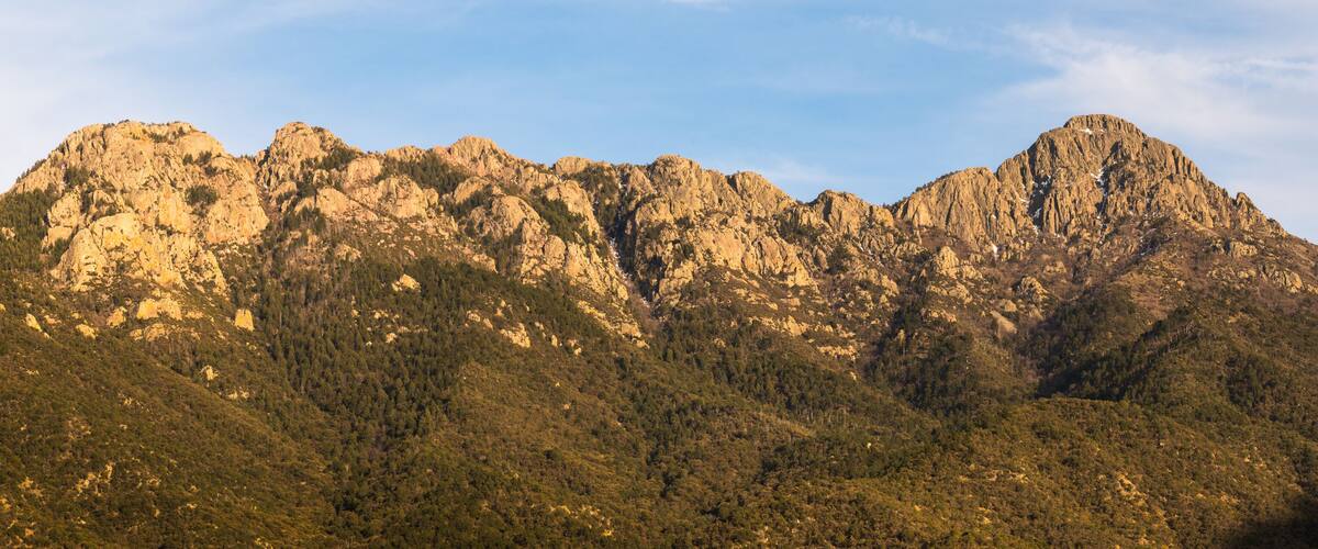 A panoramic view of the Santa Rita Mountains in evening light from Madera Canyon