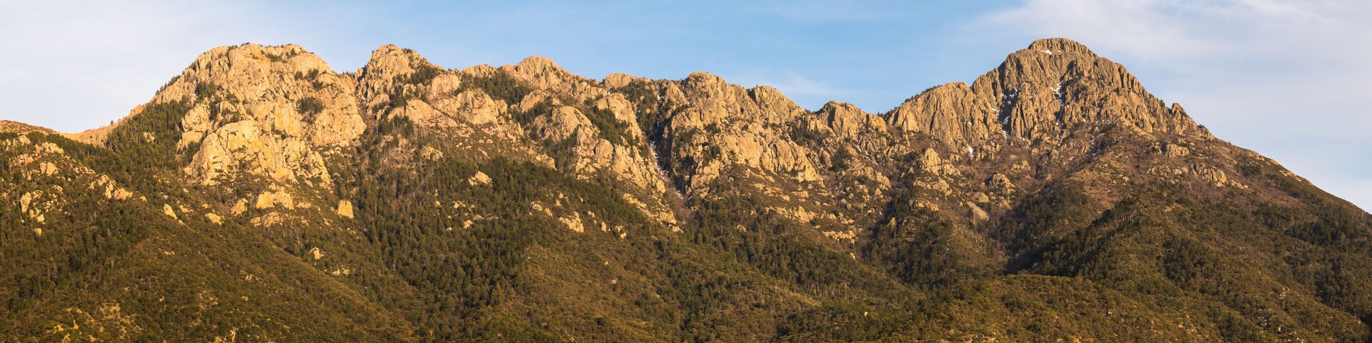 A panoramic view of the Santa Rita Mountains in evening light from Madera Canyon