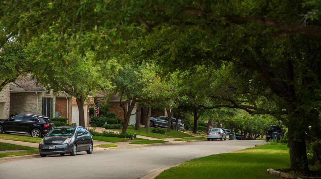 Steiner Ranch showing a house and a small town or village