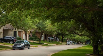 Steiner Ranch showing a house and a small town or village