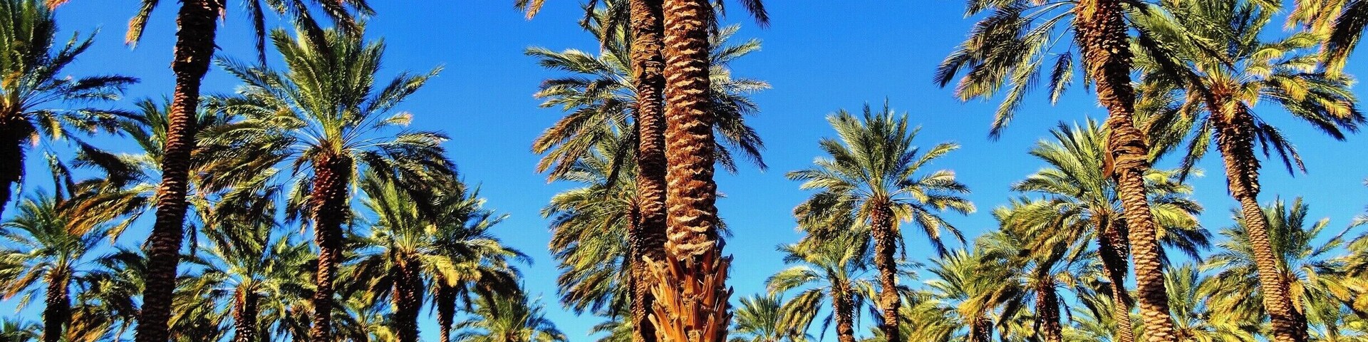 There was way more to do in Yuma than we expected. We really enjoyed our week there.
http://www.liferidingshotgun.com/2015/01/things-to-do-in-yuma-arizona.html