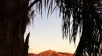 The most difficult climb in Yuma Arizona. Instead of showing a gorgeous shot from the top, I wanted to share what the pass looks like from across the street!