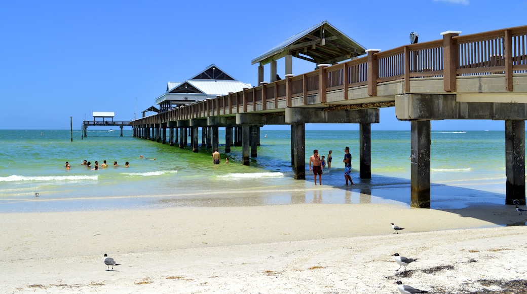 Pier 60 Clearwater Beach Florida