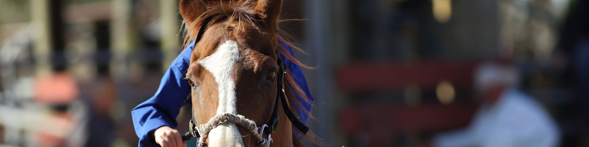 Front view of a little girl riding a horse during an american rodeo.