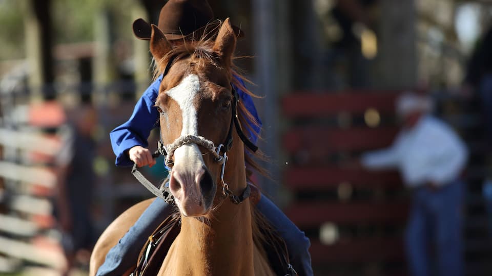 Front view of a little girl riding a horse during an american rodeo.