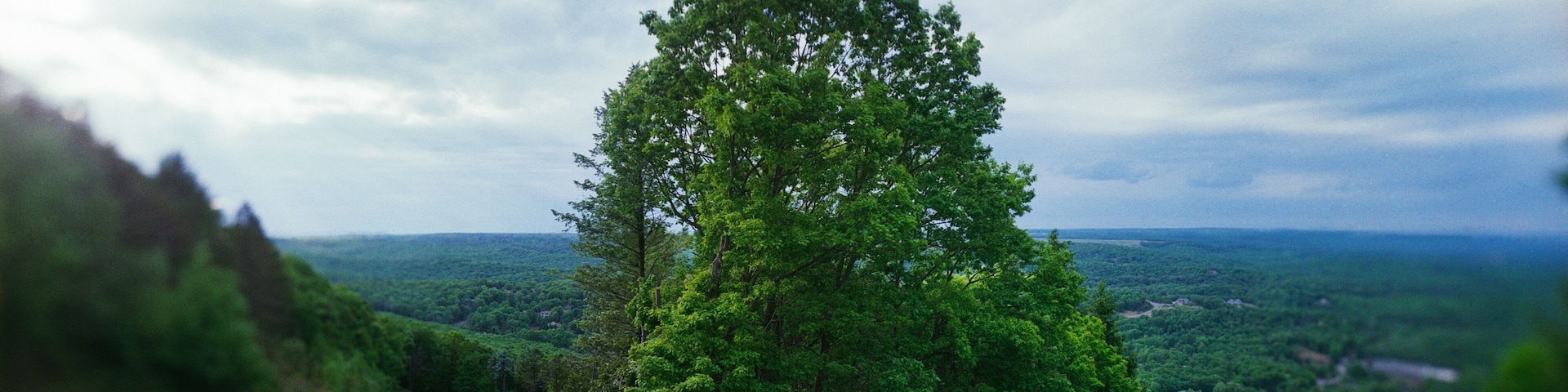 Panoramic summit overlook in Big Pocono State Park, located atop Camelback Mountain in Tannersville, Pennsylvania.