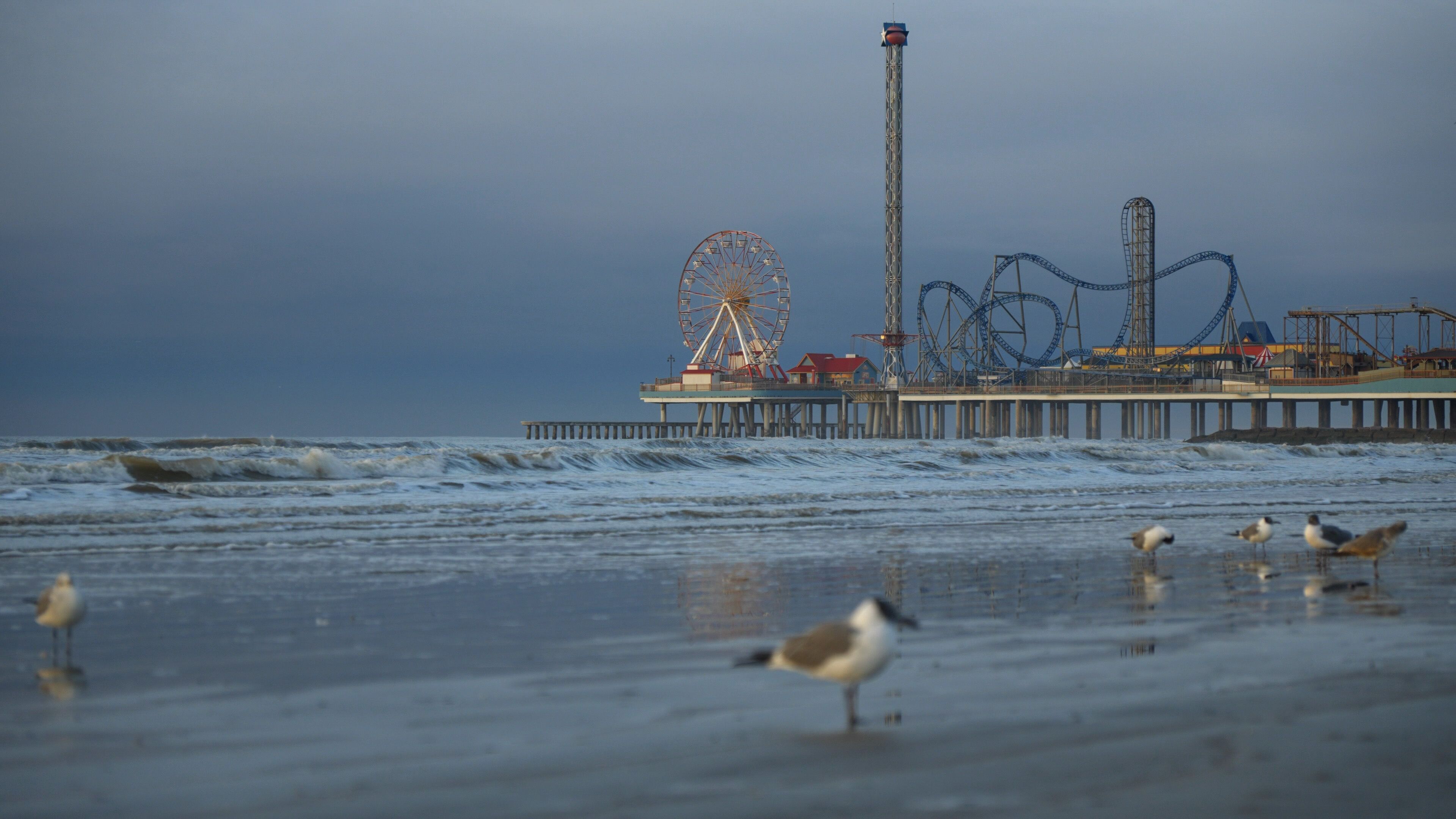 The historic pier and seagulls on the beach in Galveston, Texas USA