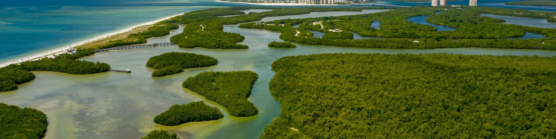 Un paysage côtier avec des forêts de mangroves, des eaux d’un bleu limpide et, au loin, la silhouette d’une ville.
