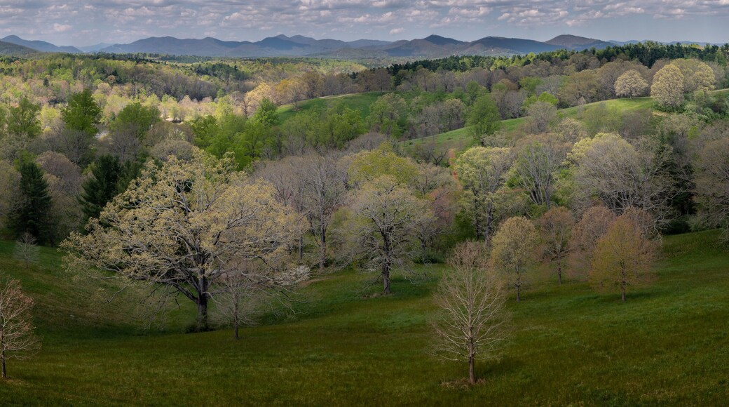 บิลท์มอร์ พาร์ค