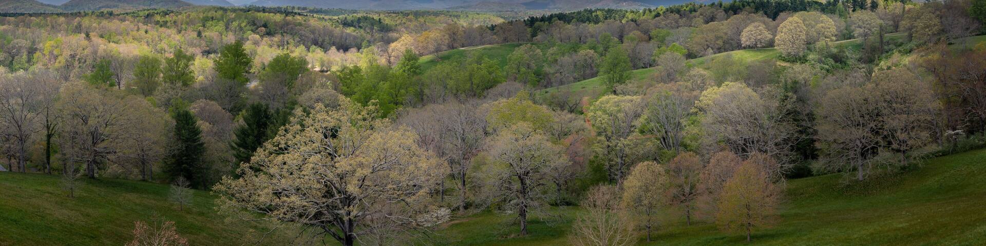Springtime panorama of the Smoky Mountains from Biltmore Estate, North Carolina.