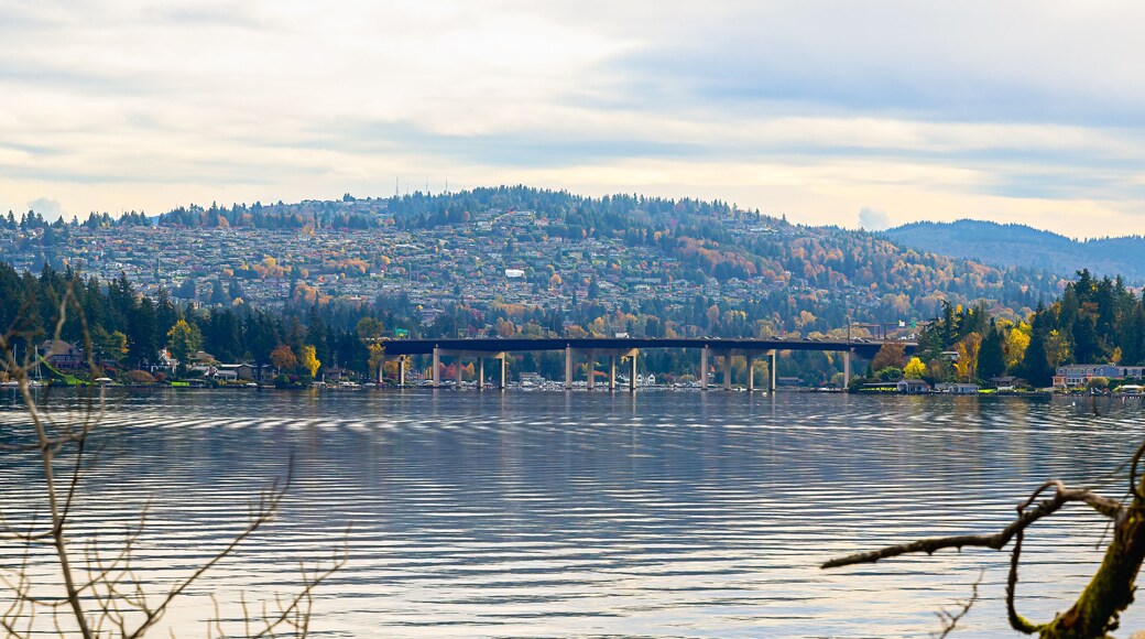 2024-1031 A FRAMED VIEW OF THE FACTORIA HILL WITH THE SUMMERSET NEIGHBORHOOD AND THE EAST CHANNELL BRIDGE FROM MERCER ISLAND WASHINGTON