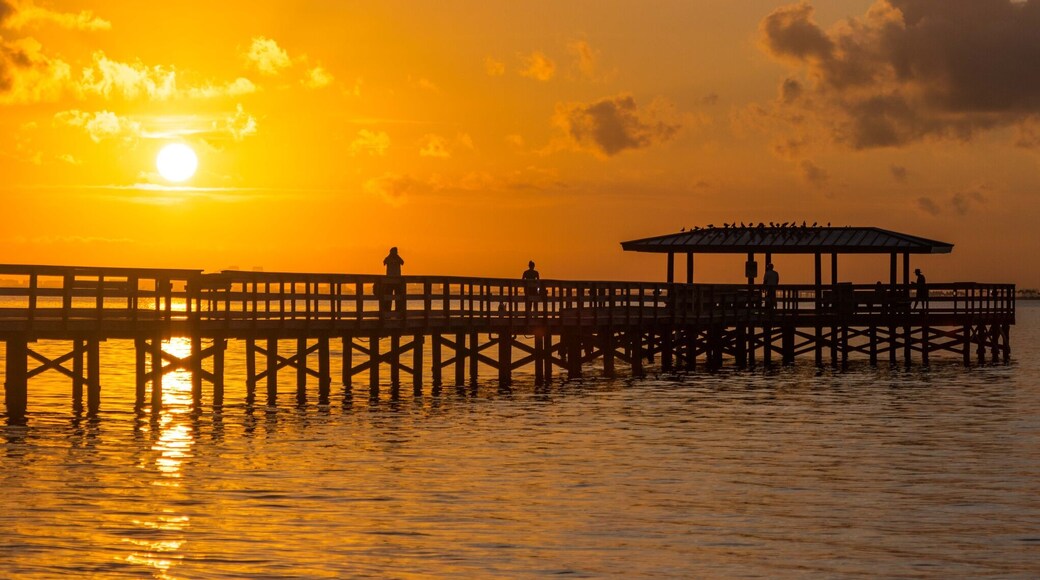 Sunrise Safety Harbor, Florida