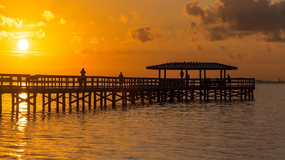 Sunrise Safety Harbor, Florida
