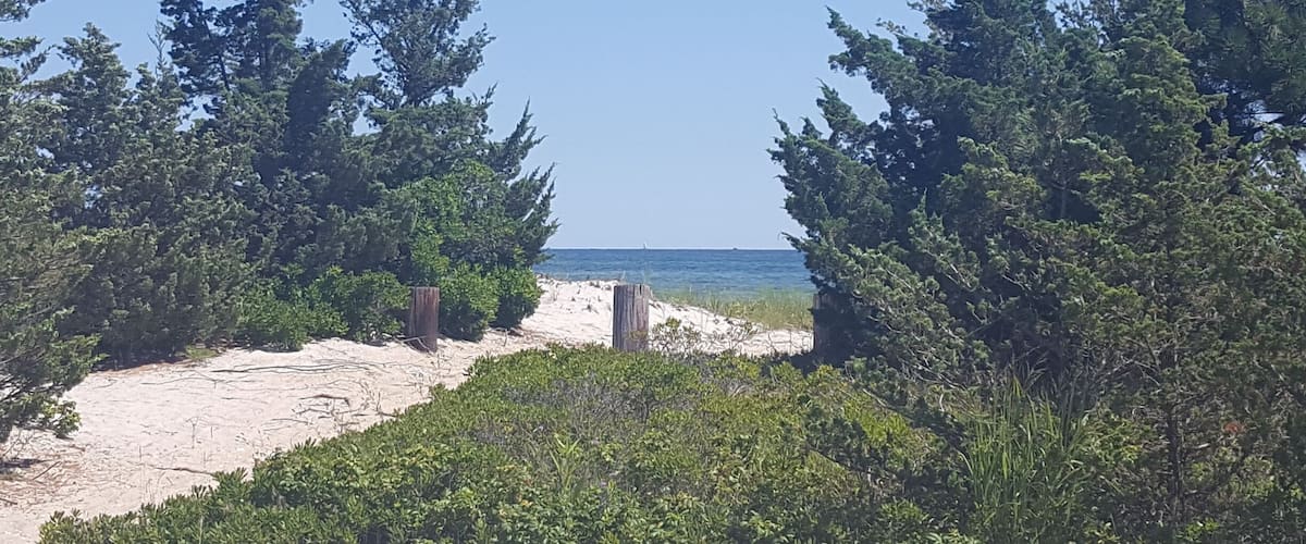 Beach hikes can be the best! Soft, flat, and always great views. #takeahike