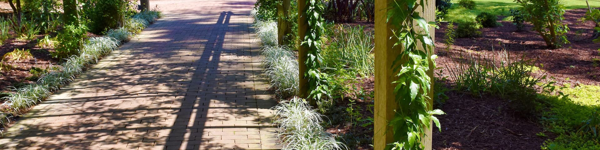 Cape Fear Botanical Gardens, Fayetteville, North Carolina