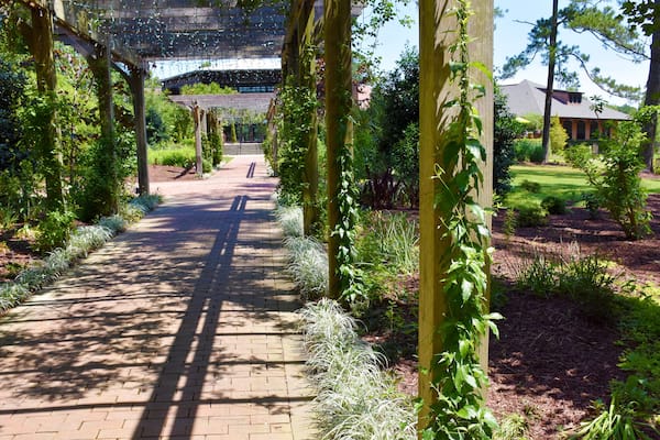 Cape Fear Botanical Gardens, Fayetteville, North Carolina