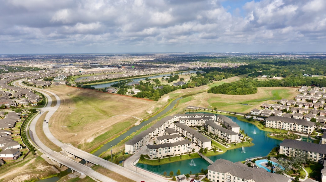 シンコ ランチ ウェスト