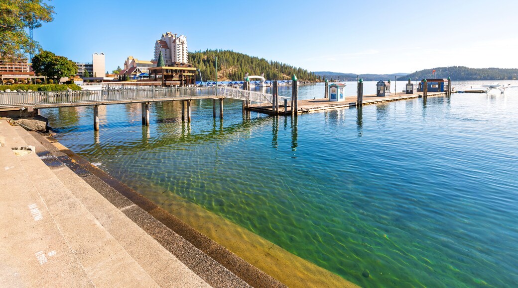 フォート グラウンズ