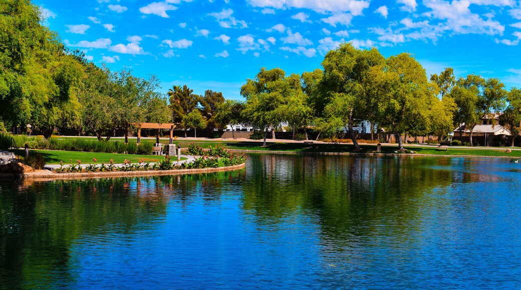 Beautiful Pond and scenery at Power Ranch in Gilbert, AZ