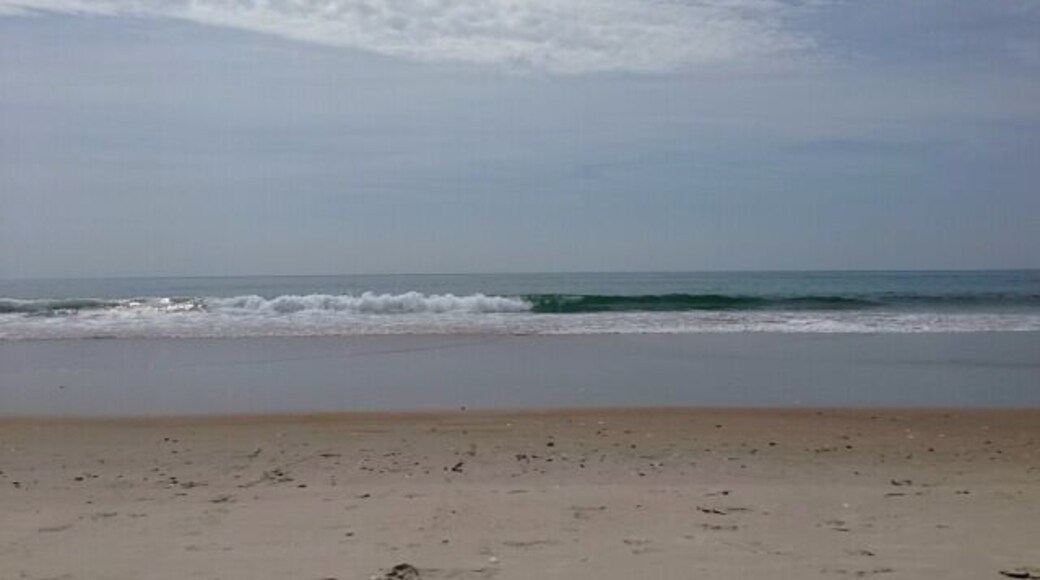 Gorgeous beach with lots of washed up sharks teeth to find!