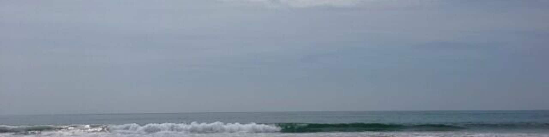 Gorgeous beach with lots of washed up sharks teeth to find!
