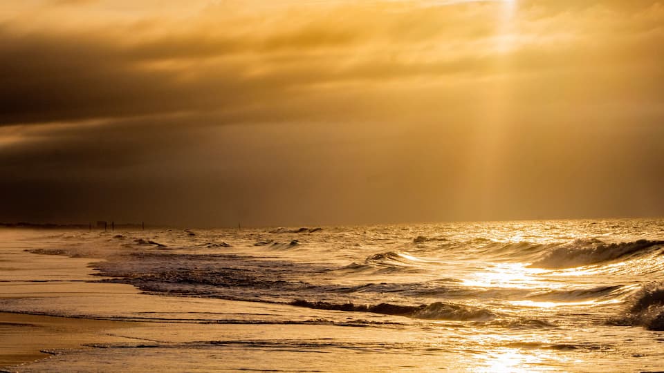 sunrise on the beach