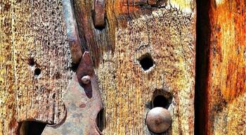 Inside this door you can find some good chicken