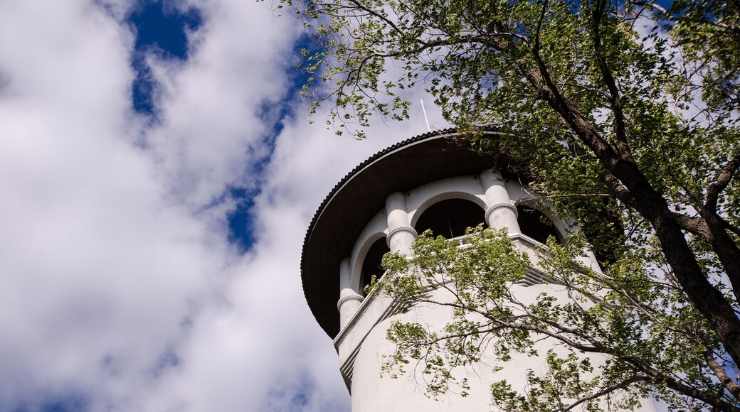 Witches Hat Water Tower in Prospect Park, Minneapolis Minnesota, on a partly cloudy day