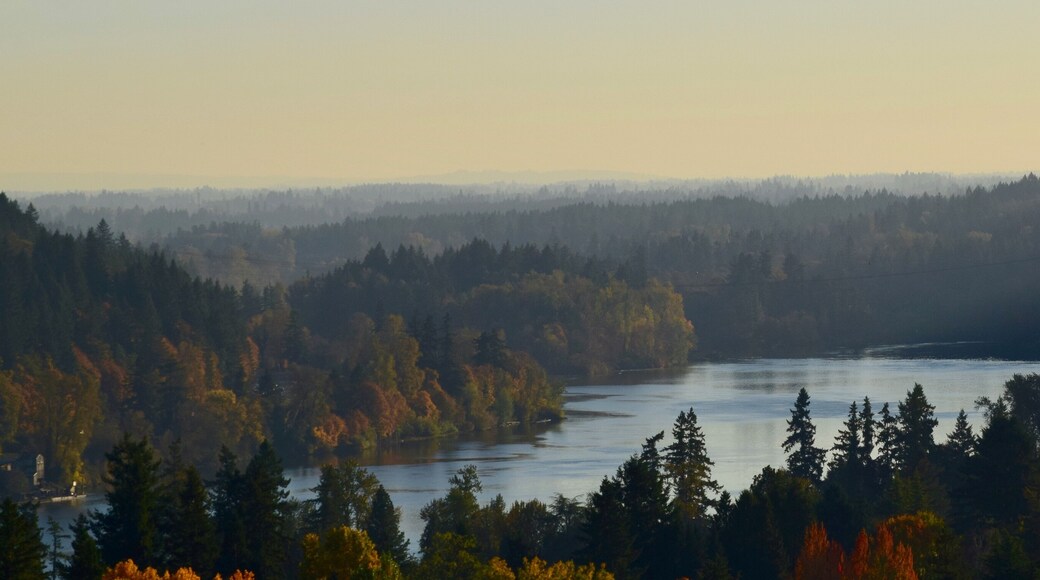 Willamette River at West Linn, OR 4