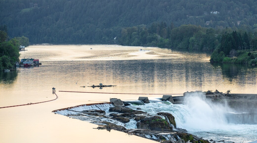Willamette river at sunset with sun creating golden hue on the water.