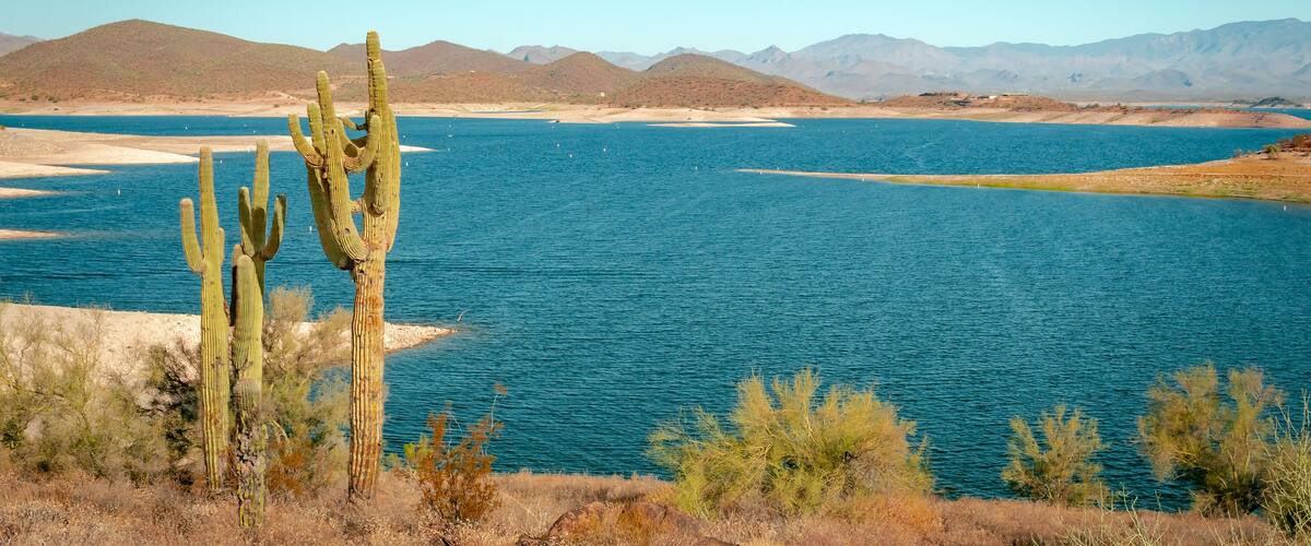Saguaro cactus and mountains at Lake Pleasant in the Phoenix Arizona Sonoran Desert. Photo taken on a clear blue sky day