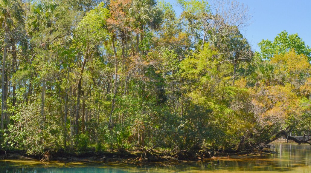 ฮอลลี่ ไฮท์ส