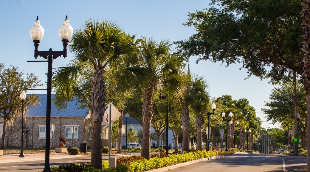 Downtown Zephyrhills