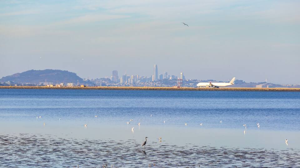 San Francisco Skyline and San Francisco International Airport (SFO) viewed from Bayside Park in Burlingame, California, at sunset