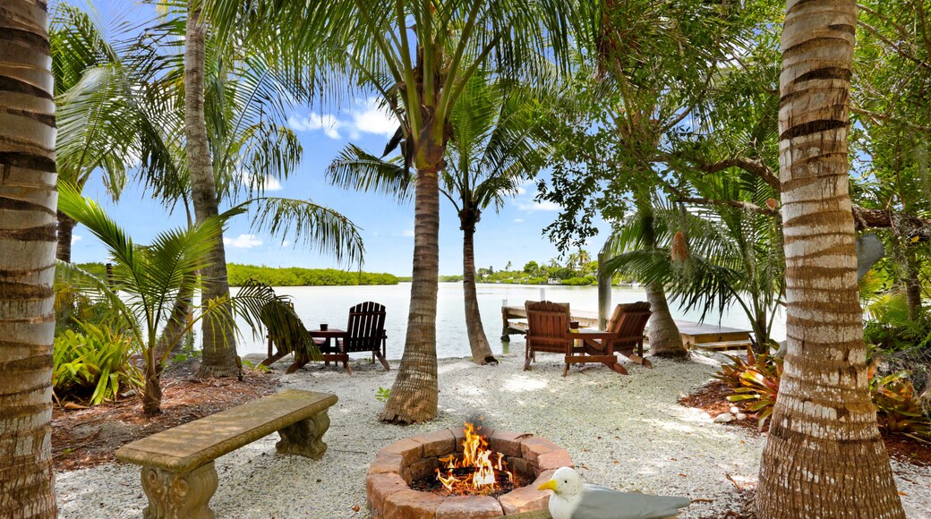 จาคารันดัส