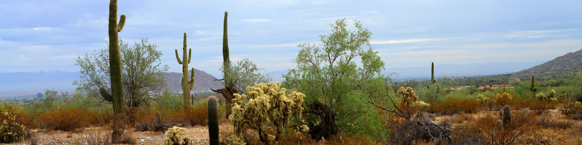 Panorama Winter San Tan Mountains Sonoran Desert Arizona