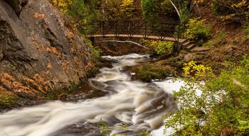 ์ฝฉ๋ ํํฌ