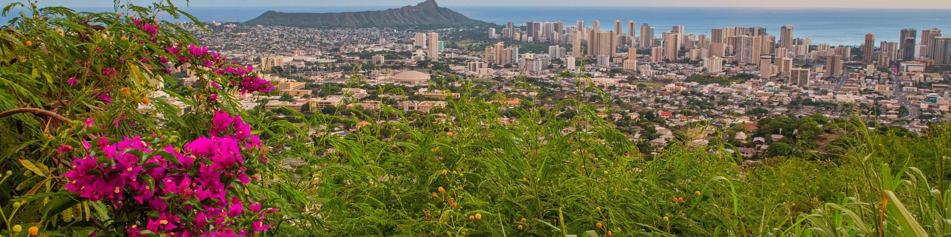 Makiki - Lower Punchbowl - Tantalus featuring a sunset, wildflowers and a city