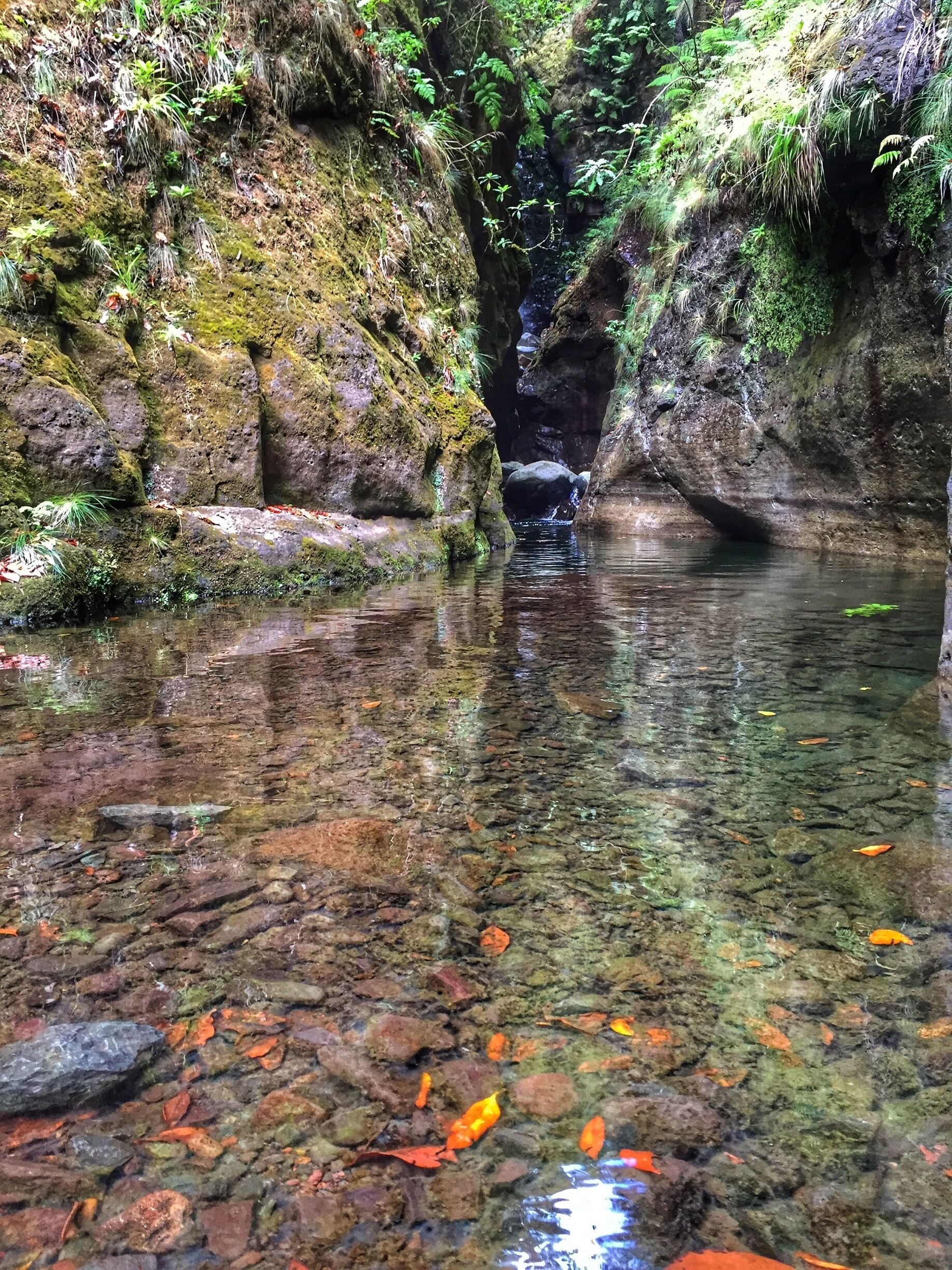 Santana - Madeira Island 

🏖 Europe's Leading Island Destination 2016
🏖 World's Leading Island Destination 2015
🏖 Europe's Leading Island Destination 2014
🏖 Europe's Leading Island Destination 2013