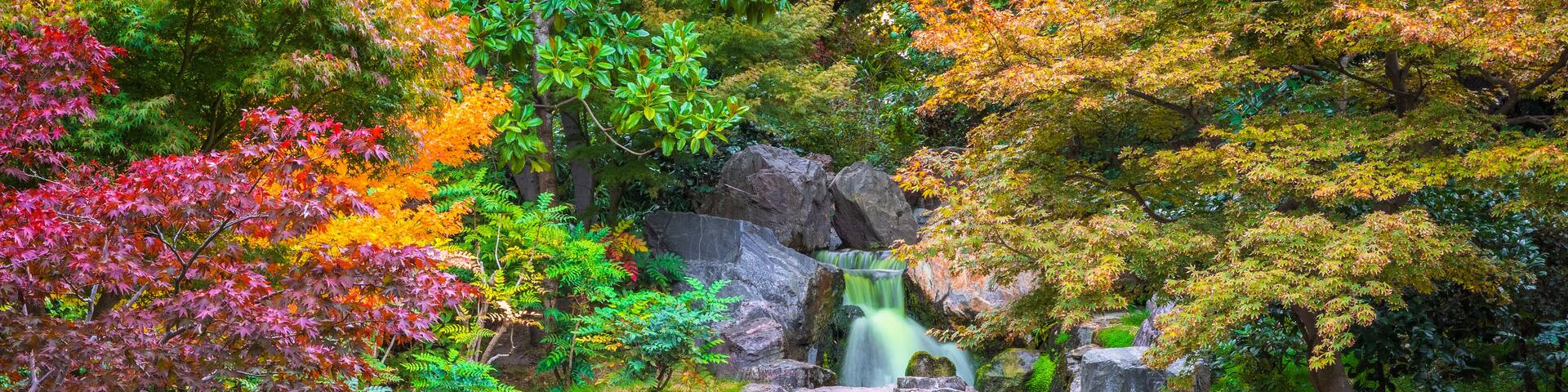 A serene garden with a cascading waterfall, large rocks, and a variety of colorful foliage.