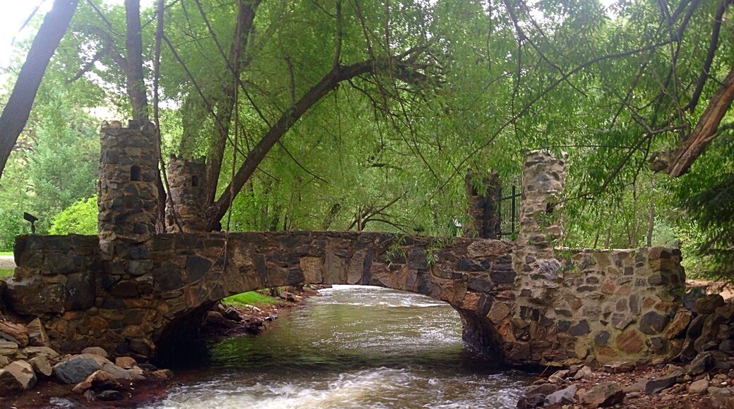 Bridge along Lair O' Bear trail #hiking