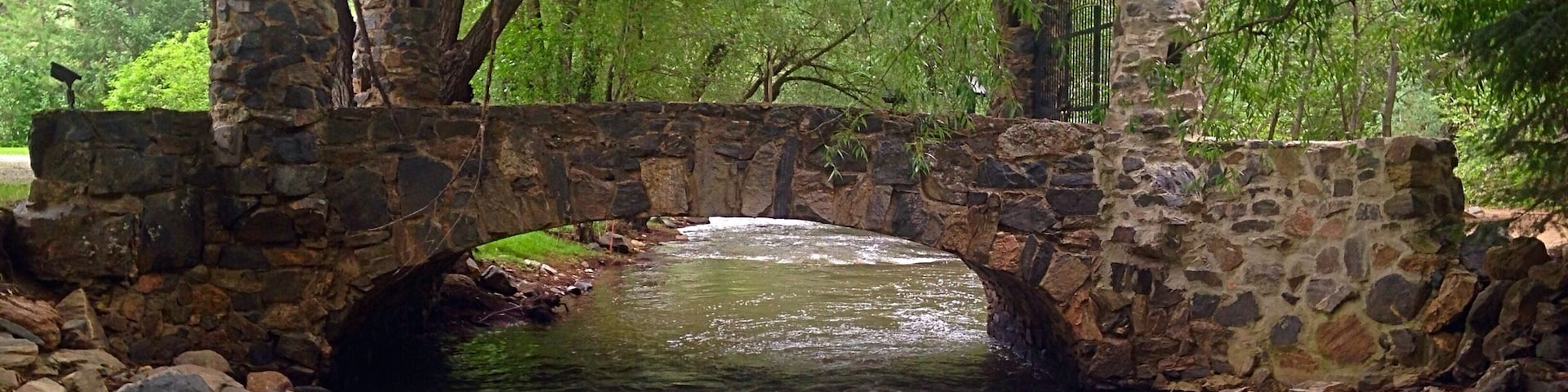 Bridge along Lair O' Bear trail #hiking